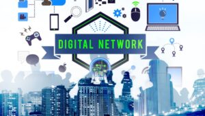 biitland.com digital assets