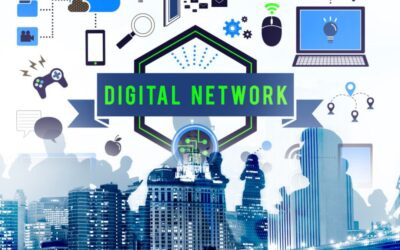 biitland.com digital assets