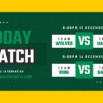 phoenix suns vs timberwolves match player stats