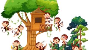 www.albino-monkey.net