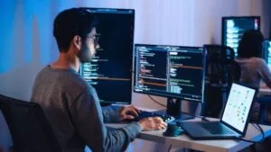 Developer