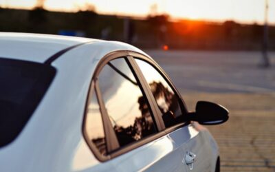 ERMINAX 20 Window Tint