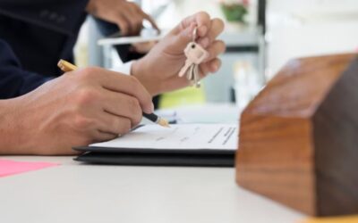 Management Services