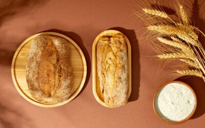 Wheat straw Vs bamboo Plate
