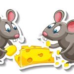 Mice in Your Kent Home