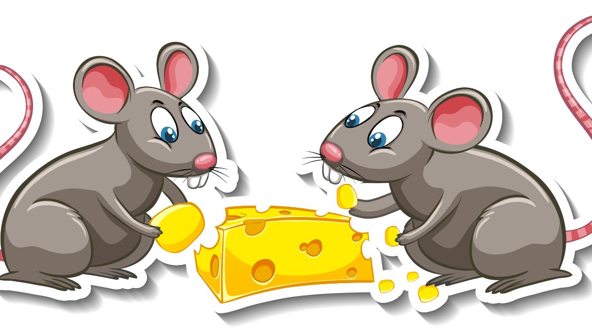 Mice in Your Kent Home