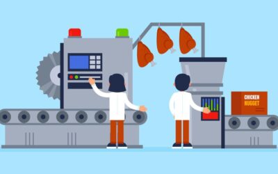 Right Food Processing Equipment Manufacturer